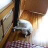 Mr.下手くそ profil fotoğrafı