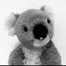 Profilbild von KeemalKoala