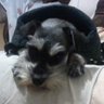 Roberto's profile picture