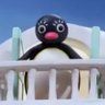 pingi 的头像