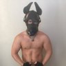 Thattopass's profile picture