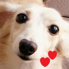 kinneyai_3715's profile picture