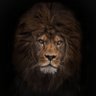 GoaTingZ's profile picture
