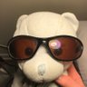 Christopher Kapoun's profile picture