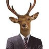 鹿男(偽)'s profile picture