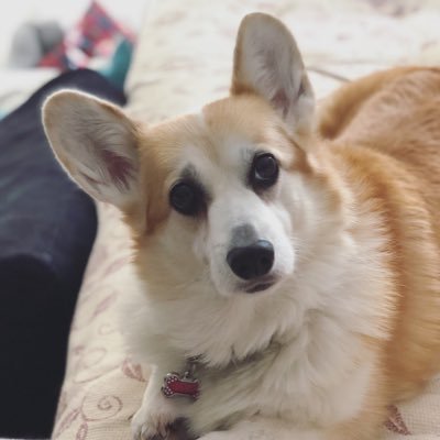 DaleNorth's profile picture