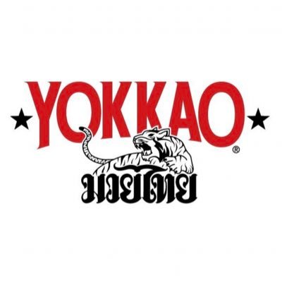 YOKKAO's profile picture
