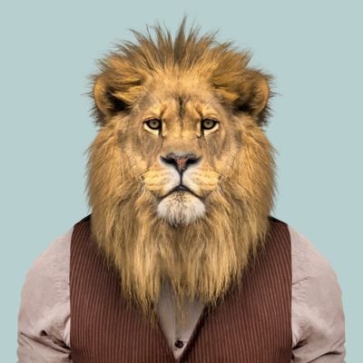 ShireSokhte's profile picture