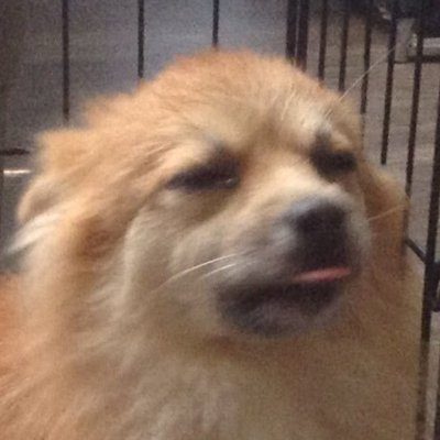 nariox_'s profile picture