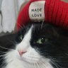 BAYDIN (Memnuniyetsizinbiri)'s profile picture