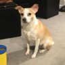 Teddy’s Mom's profile picture