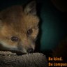 Jo 🦔🐾 profil fotoğrafı