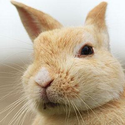 utajima's profile picture
