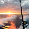 Good Wahoo profil fotoğrafı