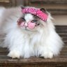 Rebecca's profile picture