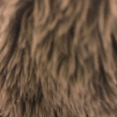 Steve Powers's profile picture