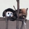 きいろいの 的头像