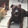 mark cabbie ⚒⚒⚒'s profile picture