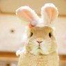 mipo's profile picture