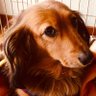 Mr.F&M(mm)'s profile picture