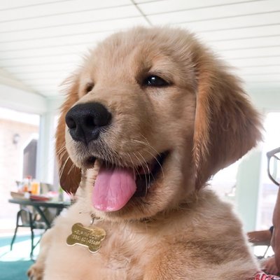 Tucker Budzyn's profile picture