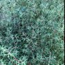 Фото профиля himo7