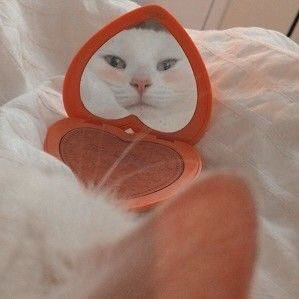 𝒎𝒎𝒚𝒕𝒚𝒑𝒆.'s profile picture
