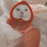 𝒎𝒎𝒚𝒕𝒚𝒑𝒆.'s profile picture