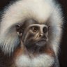 Mister Monito's profile picture