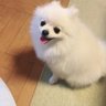 KAHO 的头像