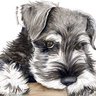 Barks at Liars profil fotoğrafı