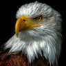 Profilbild von 🇺🇸✦ᎬᎠ✦🇺🇸