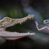 Фото профиля Rin_Go