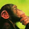 I+D (Indignación + Disidencia)'s profile picture