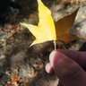 Фото профиля sunshine11