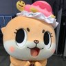 Profilbild von どぅーさん186