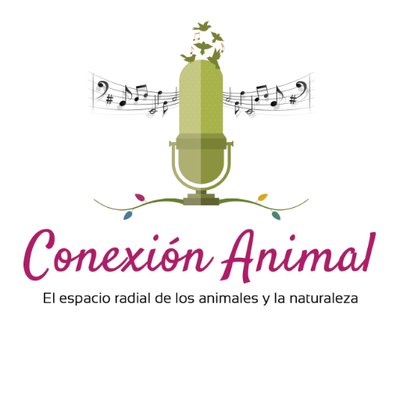 RCAnimal's profile picture