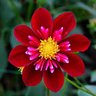 Фото профиля Claudia