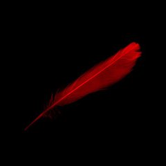 SimplyTickling's profile picture