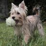 Profilbild von Canacana