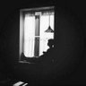 haiderhassn's profile picture