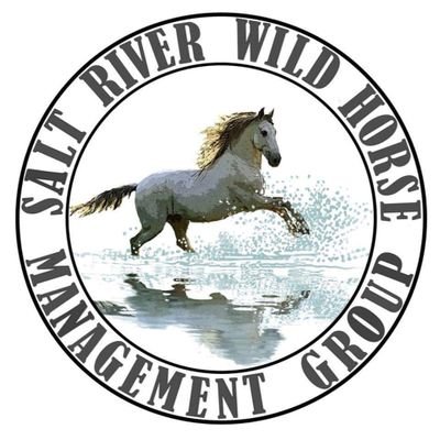 srwhmg's profile picture