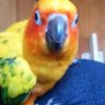 MABU profil fotoğrafı