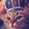 КритикаКанта profil fotoğrafı