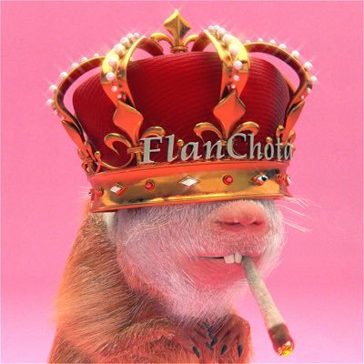 cartonero's profile picture