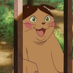 kenbonatsuiro's profile picture