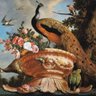 ✨É Mo Scél ✨🪻☘️🎀Truth, not History🎀☘️🪻✨'s profile picture