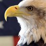 gmahawk927's profile picture