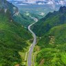 the road of freedom 的头像
