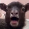 Fuuuuuuuuuu's profile picture